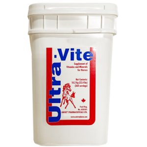 Suppléments vitamines