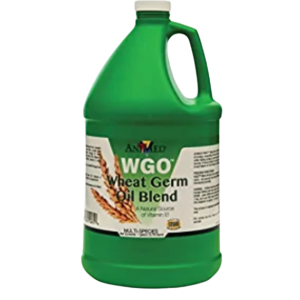 Huile de germe de blé