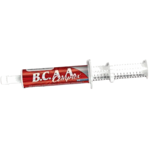 BCAA Paste 80g