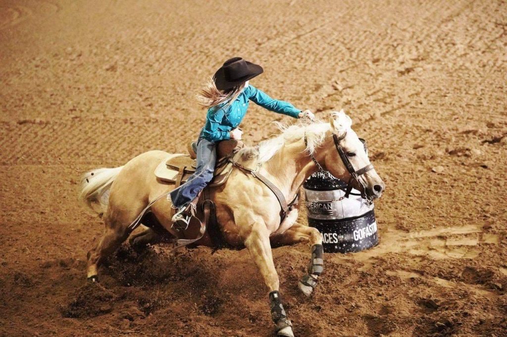 Équipements Équins