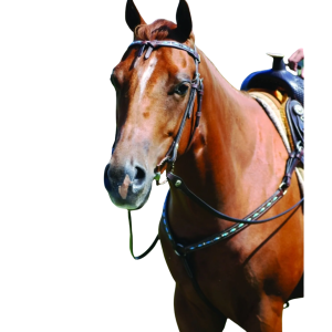 Bride Western - Turquoise