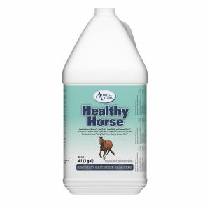 Healthy Horse - 4 L