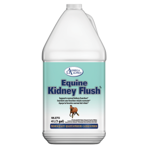 Kidney Flush - Gallon
