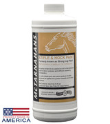 Stifle & Hock Paint - 16oz
