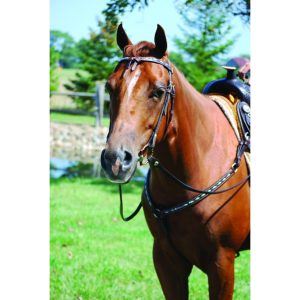 Bride Western - Turquoise