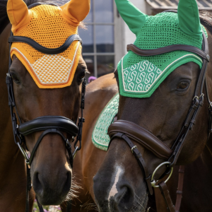 Attelages et accessoires